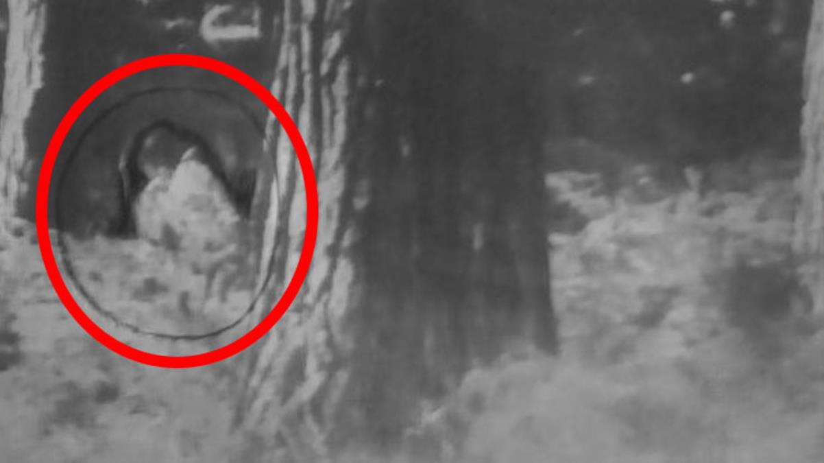 Ormanın derinliklerinde gezen "Kara gözlü bebek" tüyler ürpertti! İşte korkunç fotoğrafı