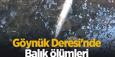 Göynük suyunda Balık Ölümleri