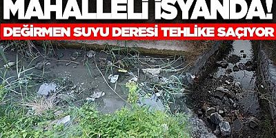 Kötü koku mahalleliyi bıktırdı!