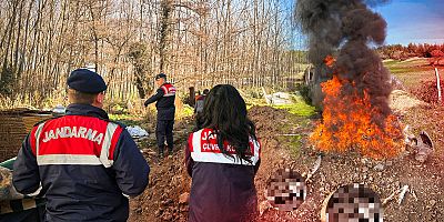 Tavuk Çiftliklerine Denetim: Mevzuata Aykırı Üretime Ceza